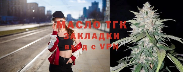 индика Арсеньев