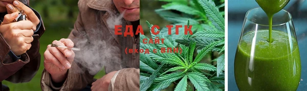 индика Арсеньев