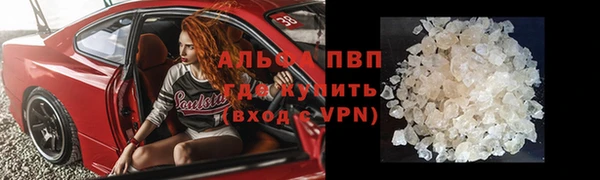 индика Арсеньев