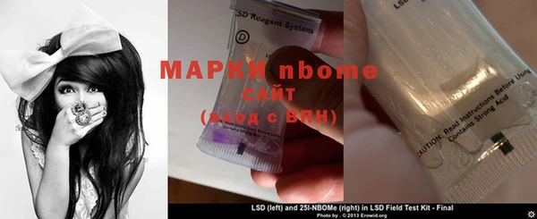 индика Арсеньев