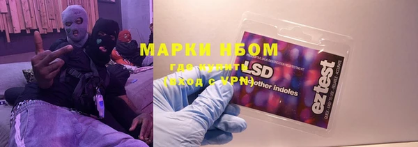индика Арсеньев