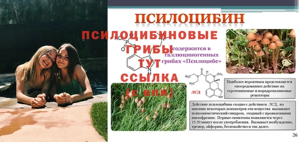 первитин Аркадак