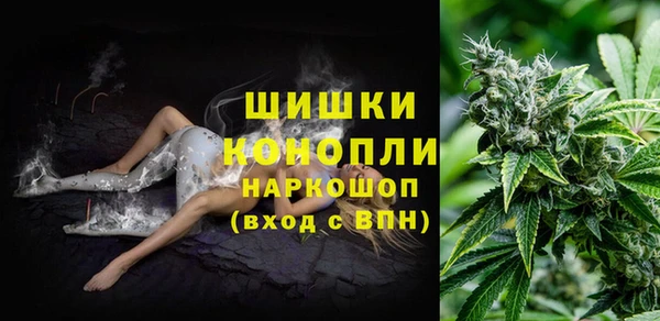 индика Арсеньев