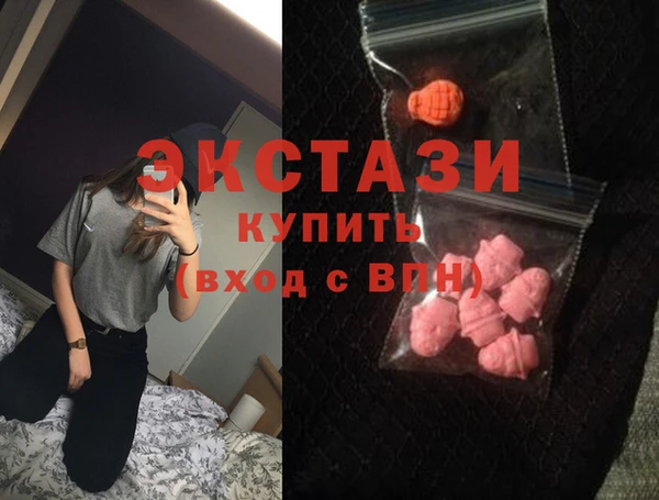 индика Арсеньев