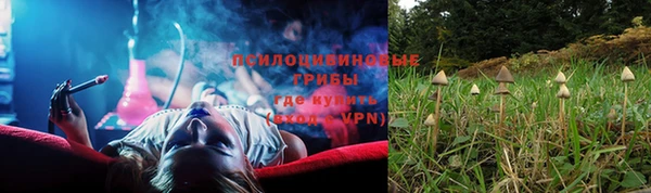 индика Арсеньев